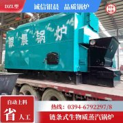 25t热水锅炉
