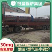 江苏燃气蒸汽锅炉