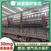节能导热油炉