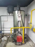 新疆20吨锅炉