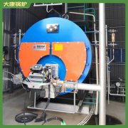 山东YYQW-350蒸汽锅炉