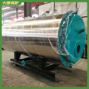 湖南100万大卡导油炉