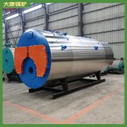 上海10t低氮导热油炉