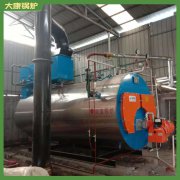 广东1t冷凝蒸汽锅炉